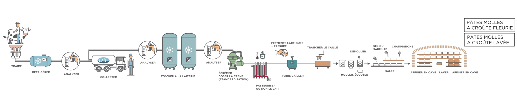 Le fromage son circuit de fabrication Le fromage dans tous ses états